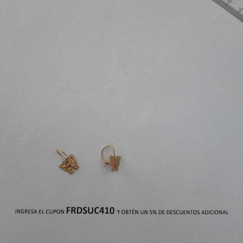 ARETES PAR ORO 10 K 1 GRMS (SEMINUEVO)