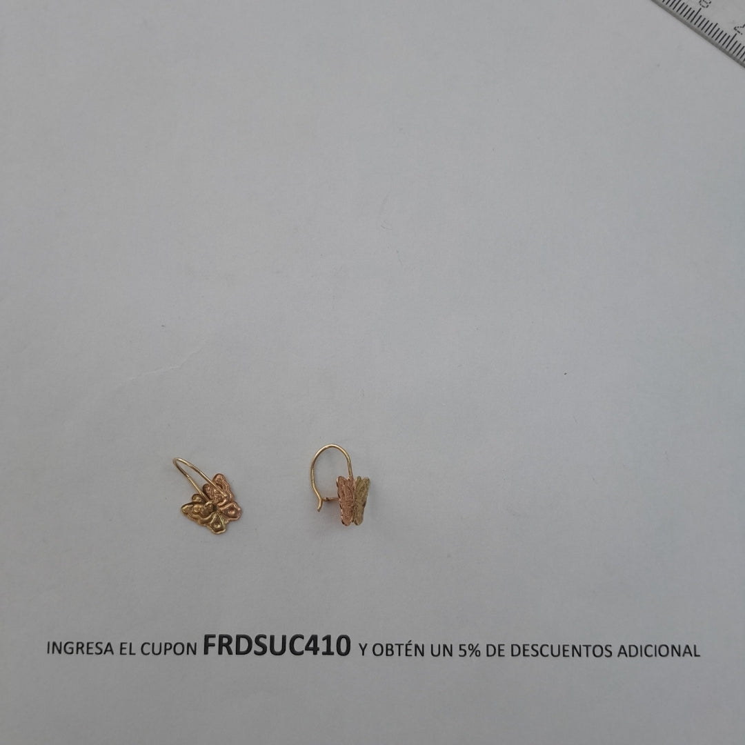 ARETES PAR ORO 10 K 1 GRMS (SEMINUEVO)