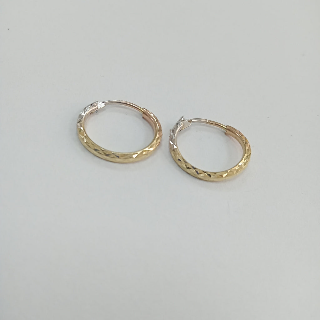 ARRACADAS PAR ORO 10 K 0,90 GRMS (SEMINUEVO)
