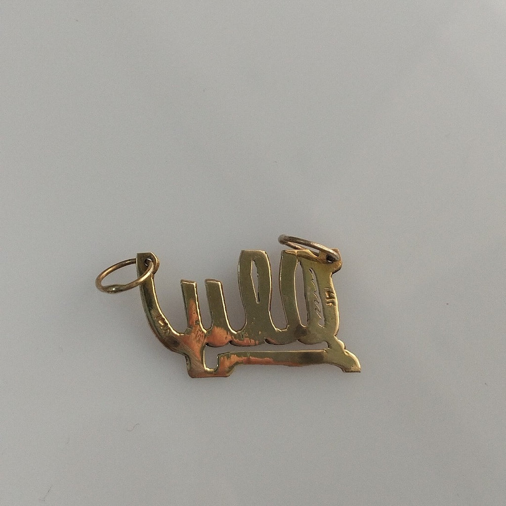 DIJE ORO 14 K 0,90 GRMS (SEMINUEVO)