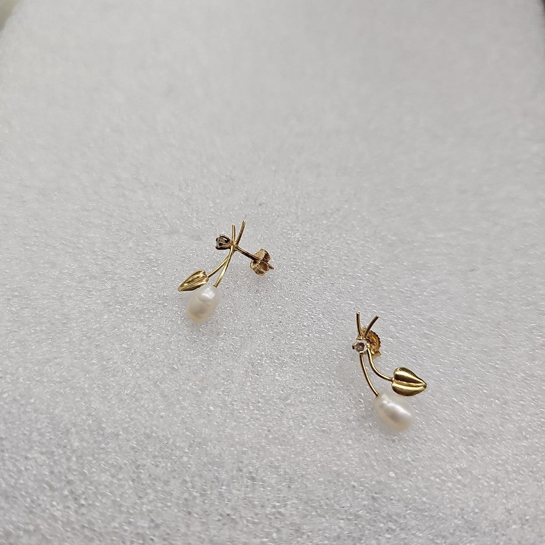 ARETES PAR ORO 10 K 1.4 GRMS (SEMINUEVO)