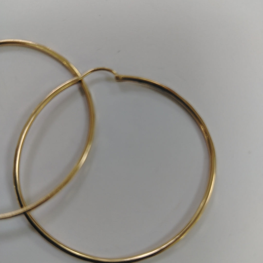 ARRACADAS PAR ORO 10 K 2.5 GRMS (SEMINUEVO)