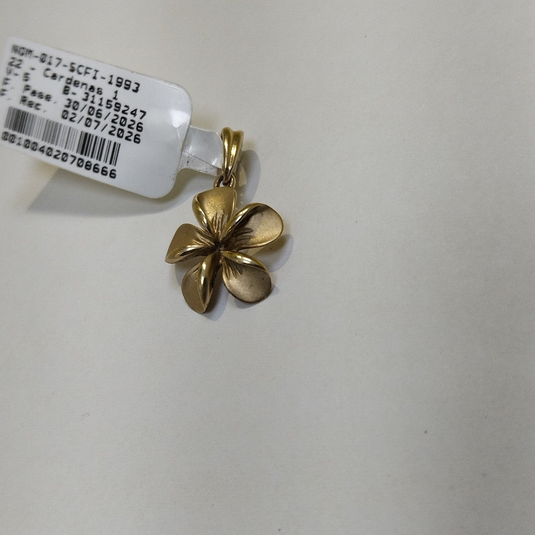 DIJE ORO 10 K 2.4 GRMS (SEMINUEVO)