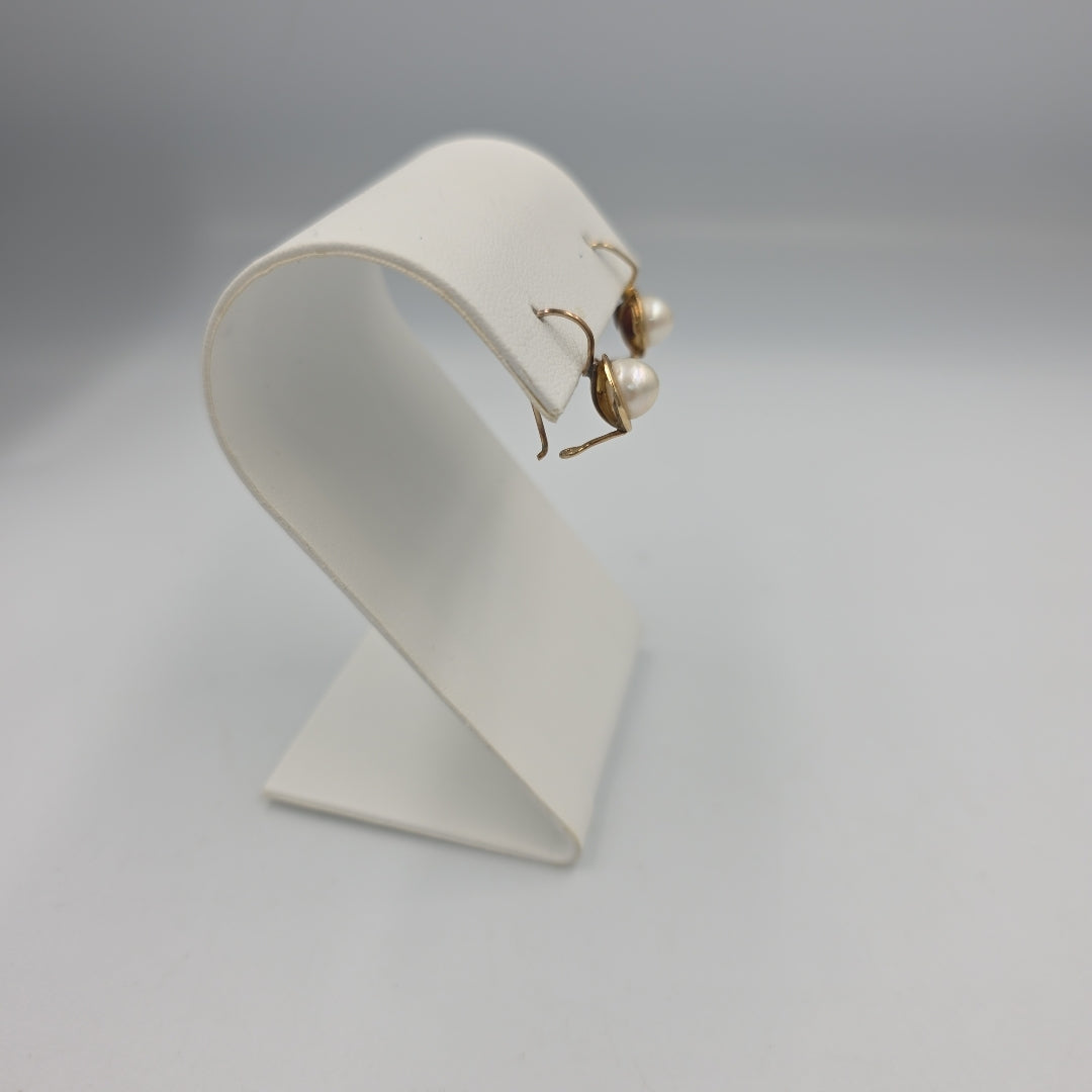 ARETES PAR ORO 10 K 1.9 GRMS (SEMINUEVO)