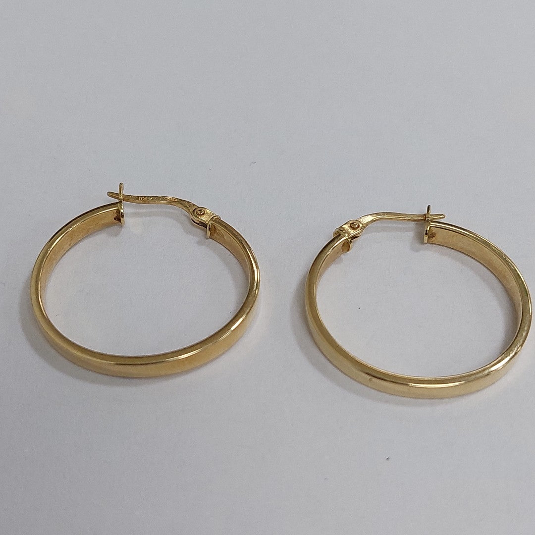 ARRACADAS PAR ORO 14 K 2.2 GRMS (SEMINUEVO)