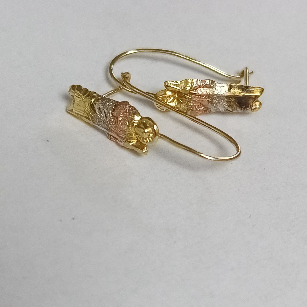 ARETES PAR ORO 10 K 1 GRMS (SEMINUEVO)