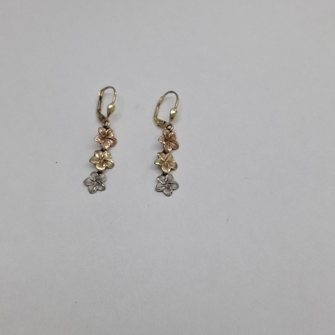 ARETES PAR ORO 10 K 2.8 GRMS (SEMINUEVO)