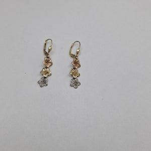 ARETES PAR ORO 10 K 2.8 GRMS (SEMINUEVO)
