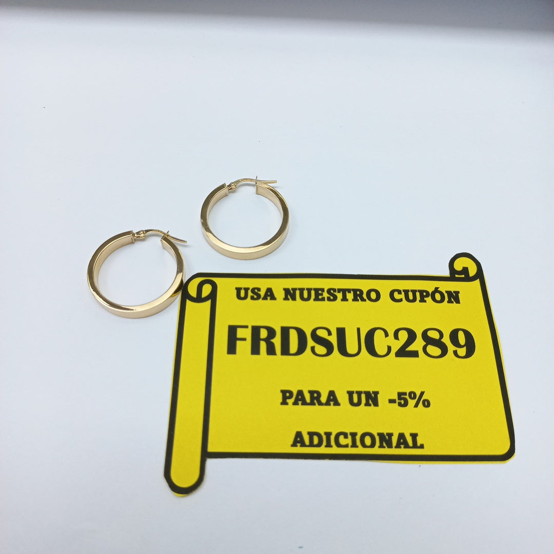 ARRACADAS ORO 14K 2.4 (NUEVO)