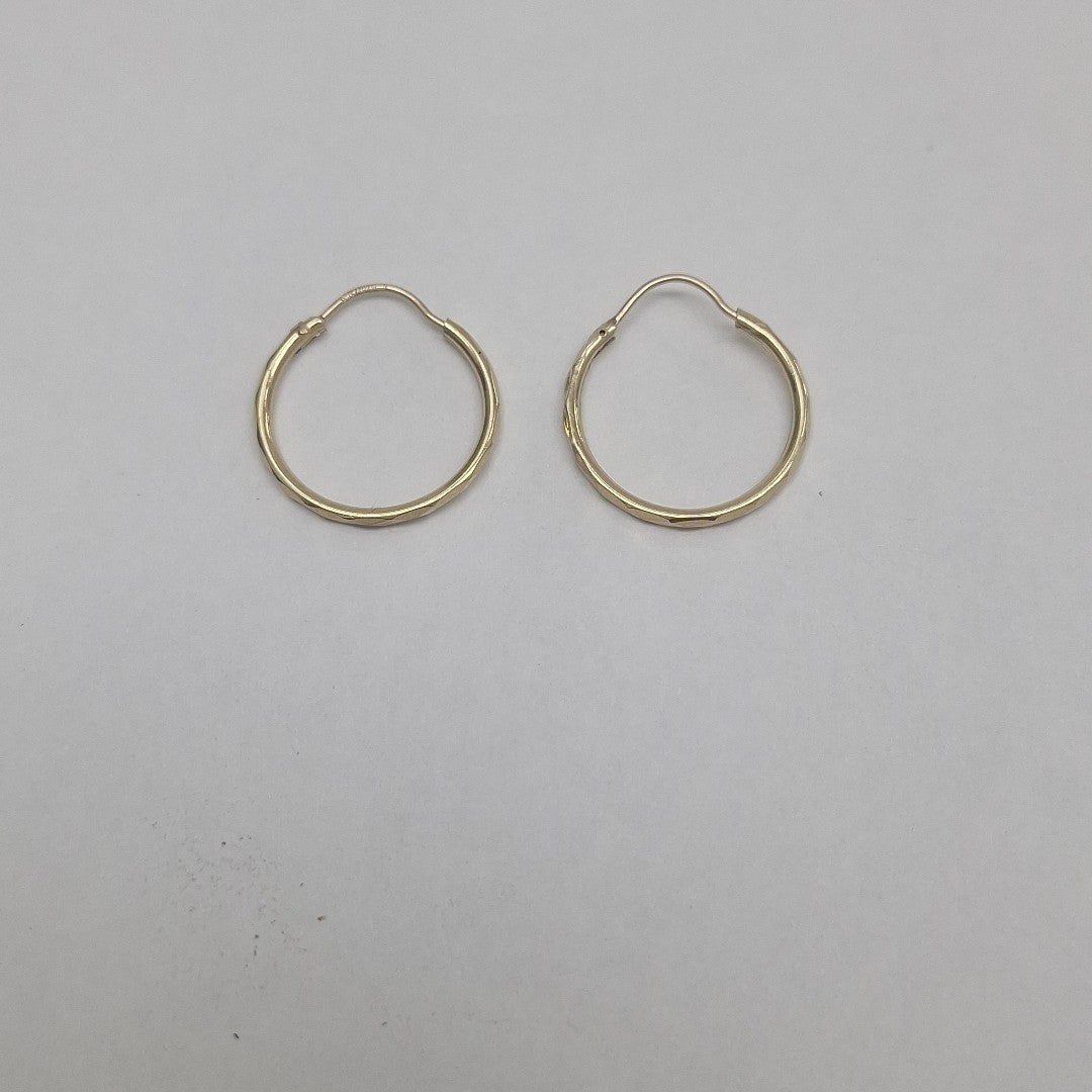 ARRACADAS PAR ORO 10 K 1.2 GRMS (SEMINUEVO)