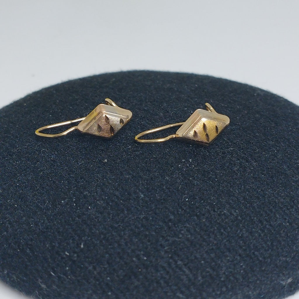ARETES PAR ORO 10 K 0.9 GRMS (SEMINUEVO)
