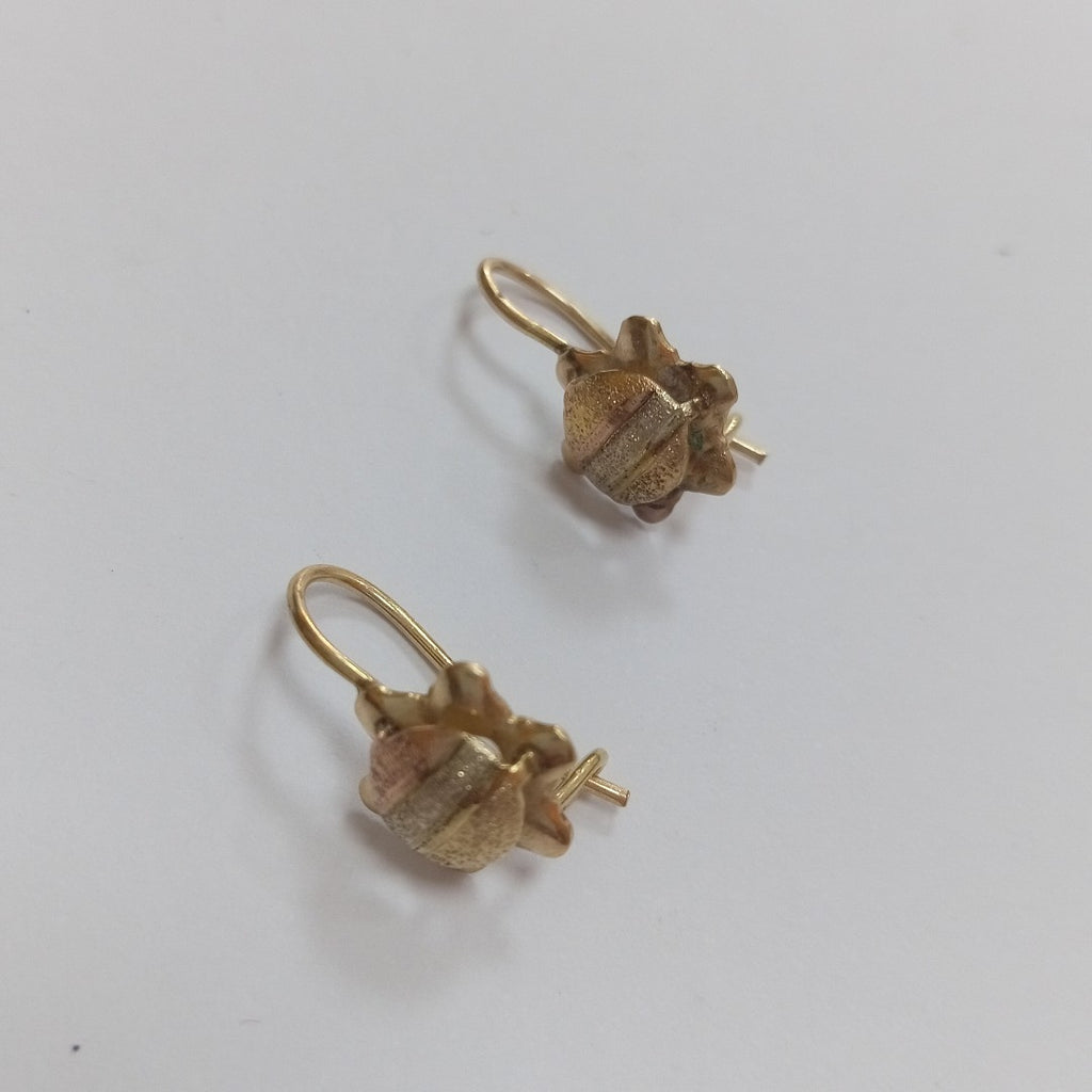 ARETES PAR ORO 8 K 1.3 GRMS (SEMINUEVO)
