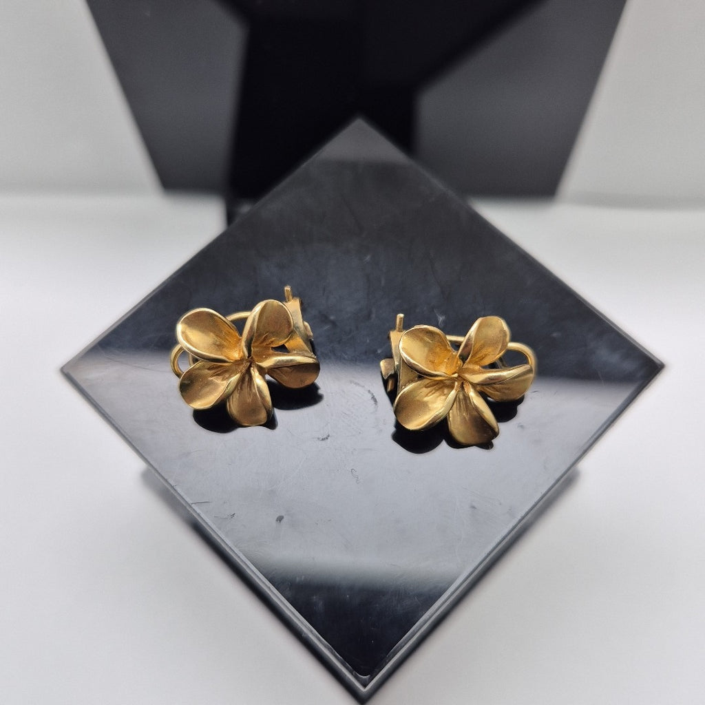 ARETES PAR ORO 14 K 3.7 GRMS (SEMINUEVO)