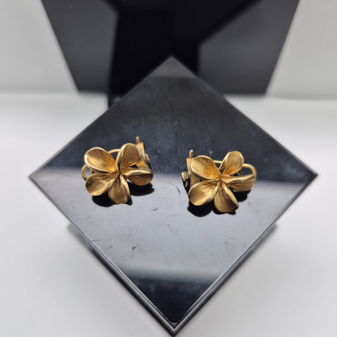 ARETES PAR ORO 14 K 3.7 GRMS (SEMINUEVO)