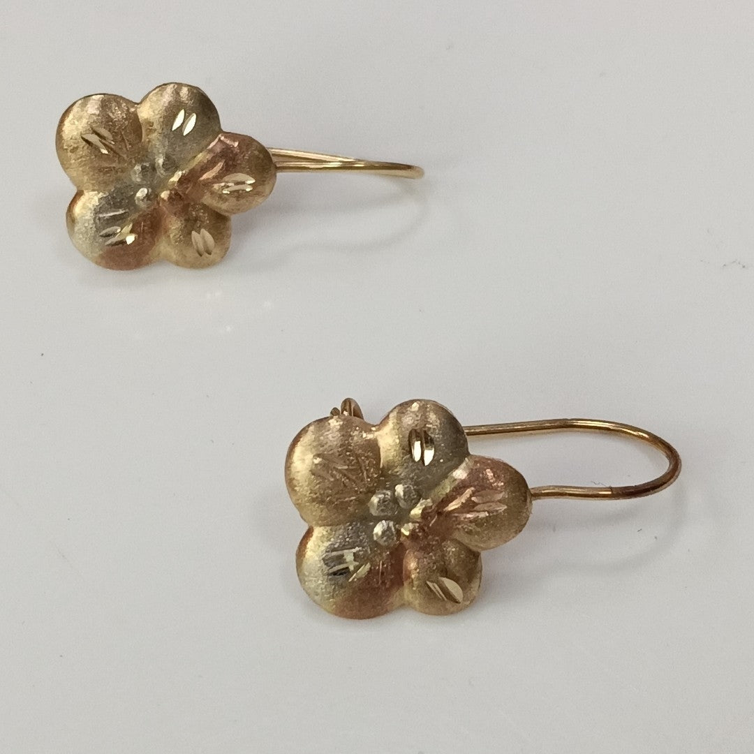 ARETES PAR ORO 10 K 1.1 GRMS (SEMINUEVO)