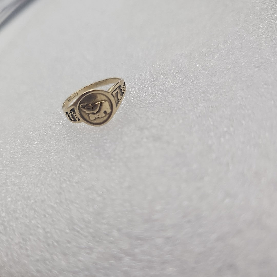 ANILLO ORO 10 K 2.3 GRMS (SEMINUEVO)