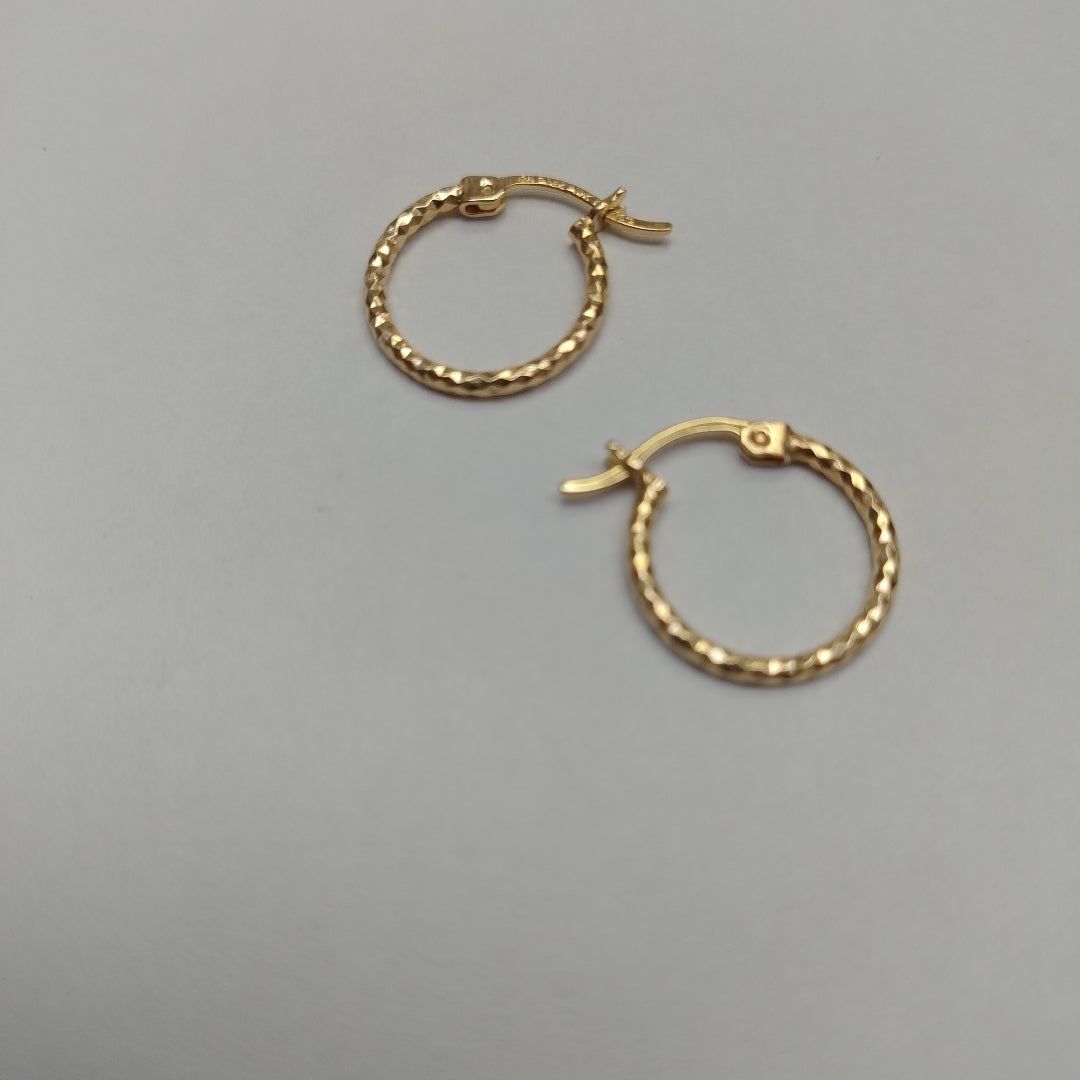 ARRACADAS PAR ORO 10 K 1 GRMS (SEMINUEVO)