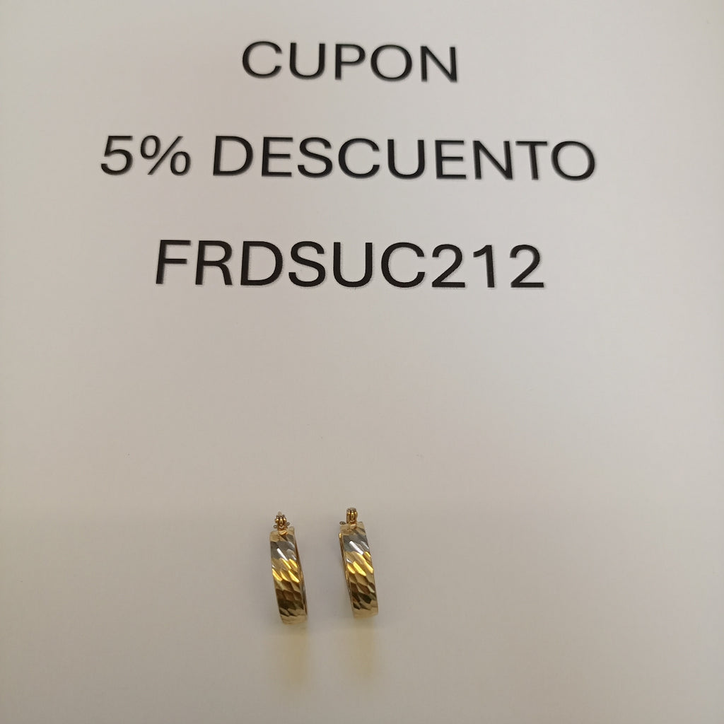 ARRACADAS PAR ORO 10 K 2 GRMS (SEMINUEVO)