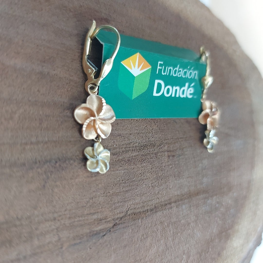 ARETES PAR ORO 8 K 2.28 GRMS (SEMINUEVO)