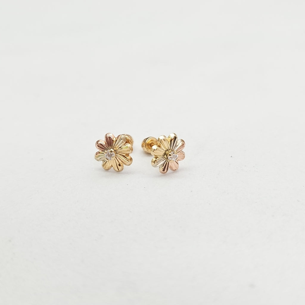 ARETES PAR ORO 10 K 0.3 GRMS (SEMINUEVO)
