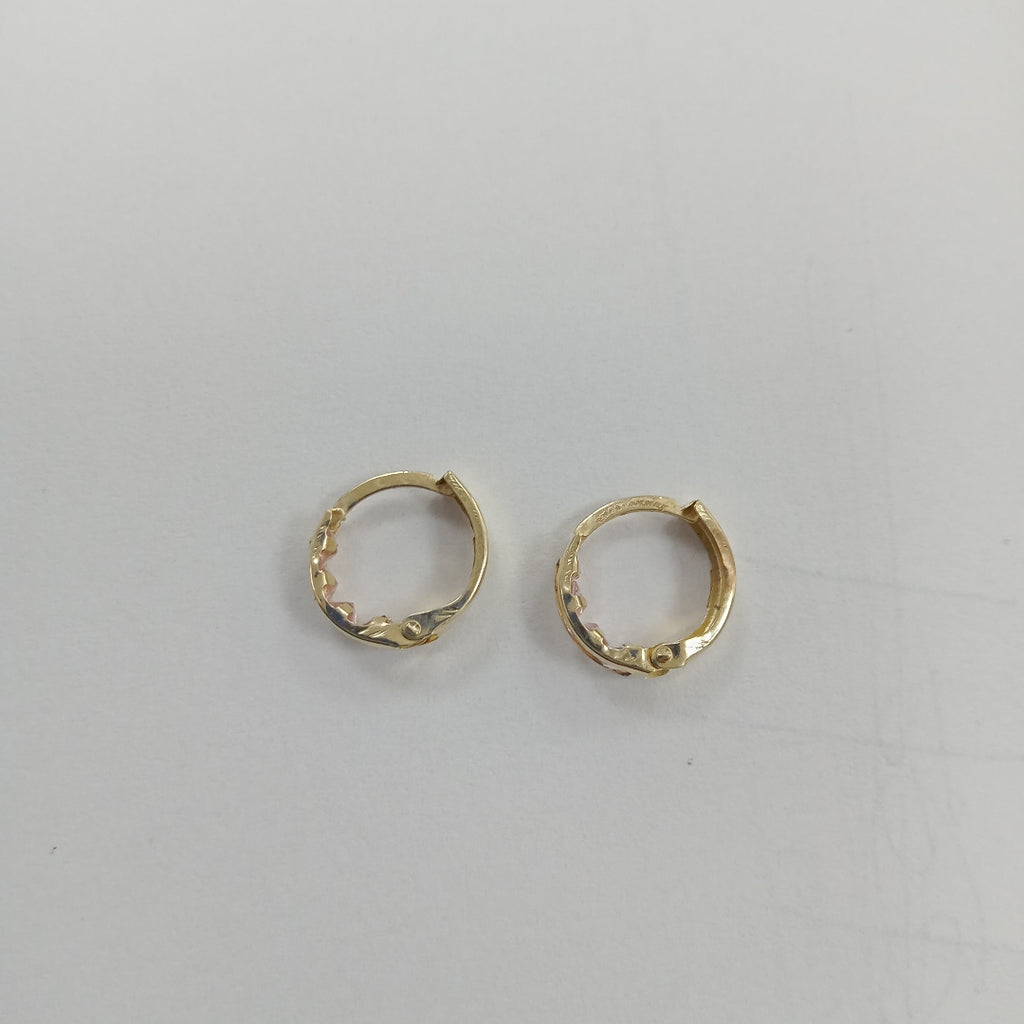 ARRACADAS PAR ORO 10 K 0,60 GRMS (SEMINUEVO)