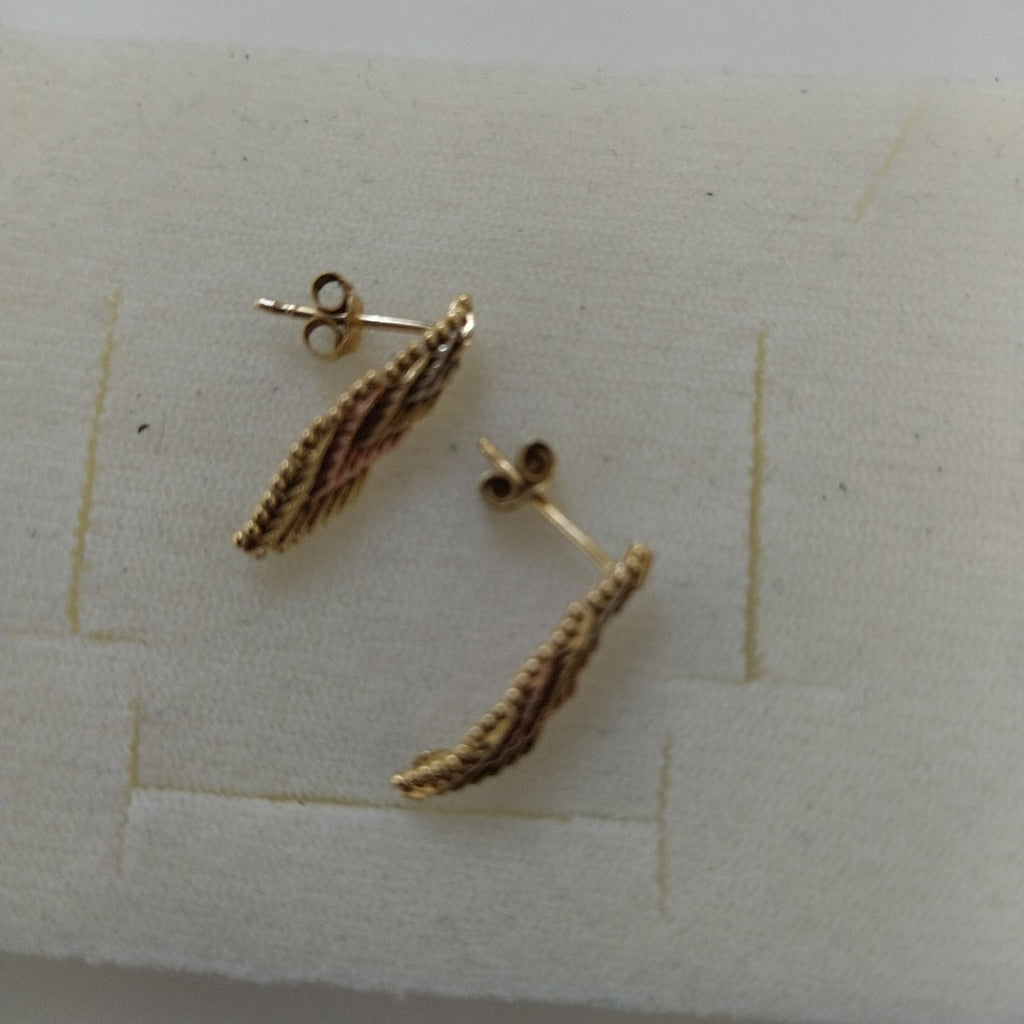 ARETES PAR ORO 14 K 2.1 GRMS (SEMINUEVO)