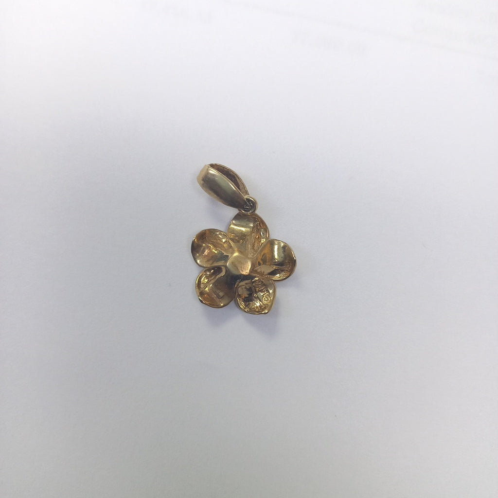 DIJE ORO 14 K 2 GRMS (SEMINUEVO)