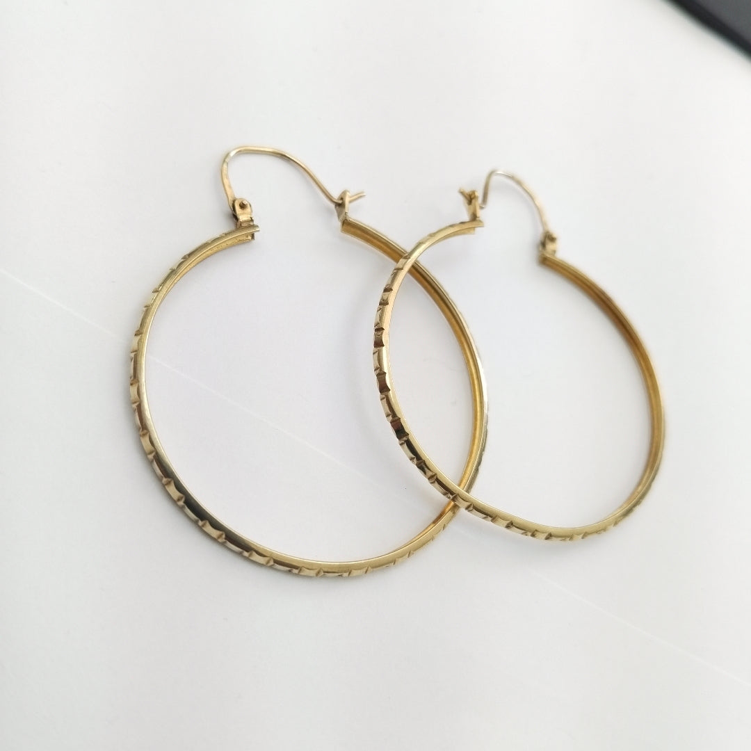 ARRACADAS PAR ORO 10 K 3.8 GRMS (SEMINUEVO)