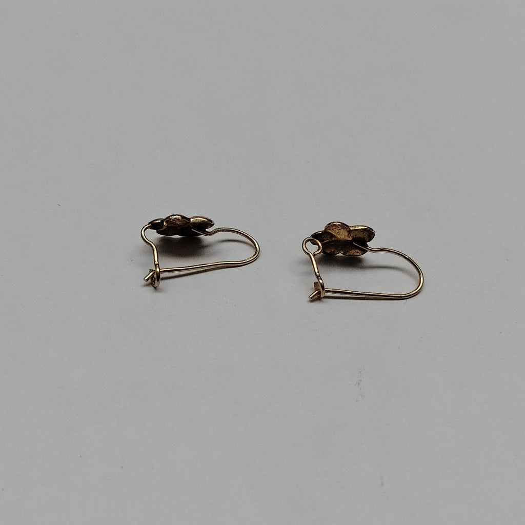 ARETES PAR ORO 10 K 1 GRMS (SEMINUEVO)