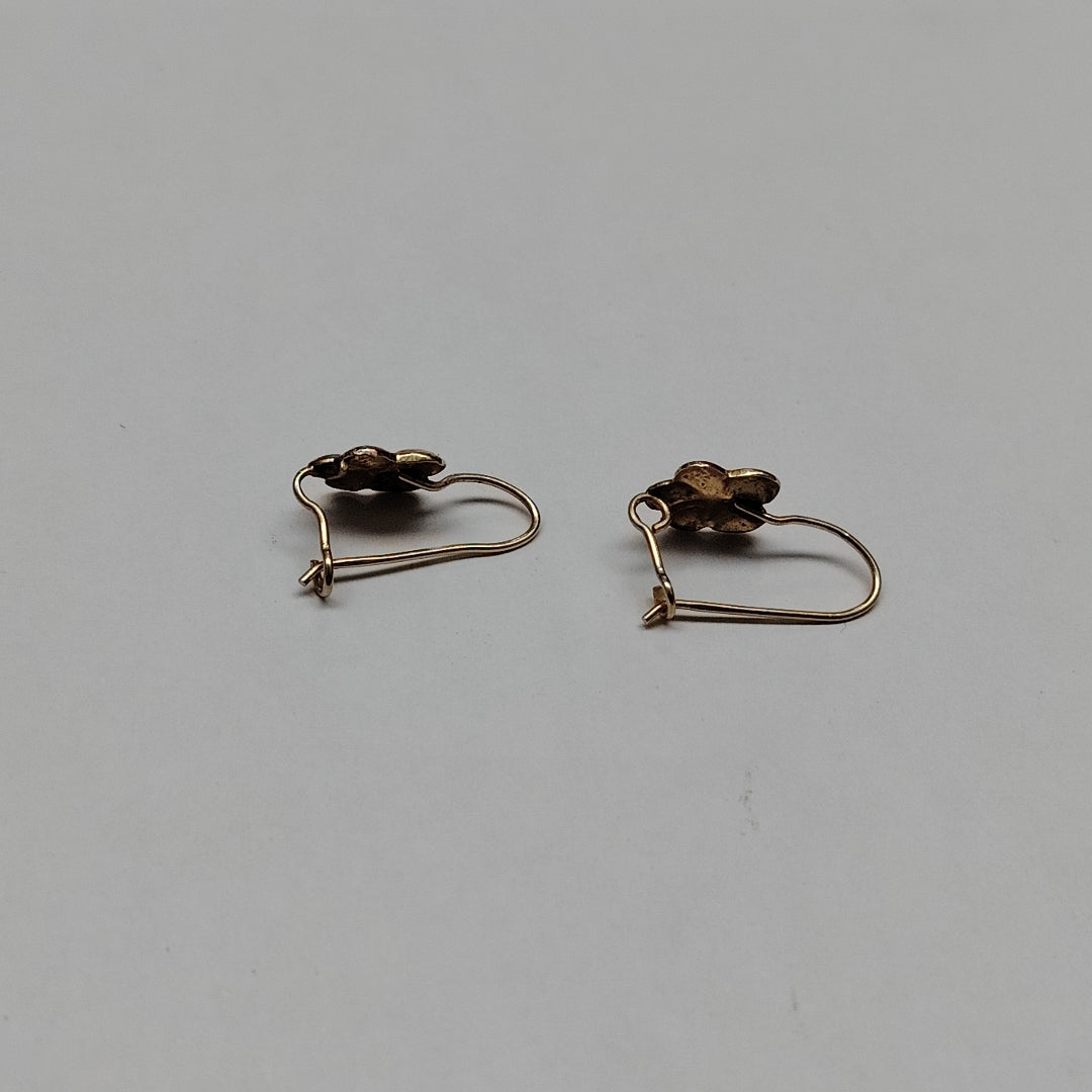 ARETES PAR ORO 10 K 1 GRMS (SEMINUEVO)