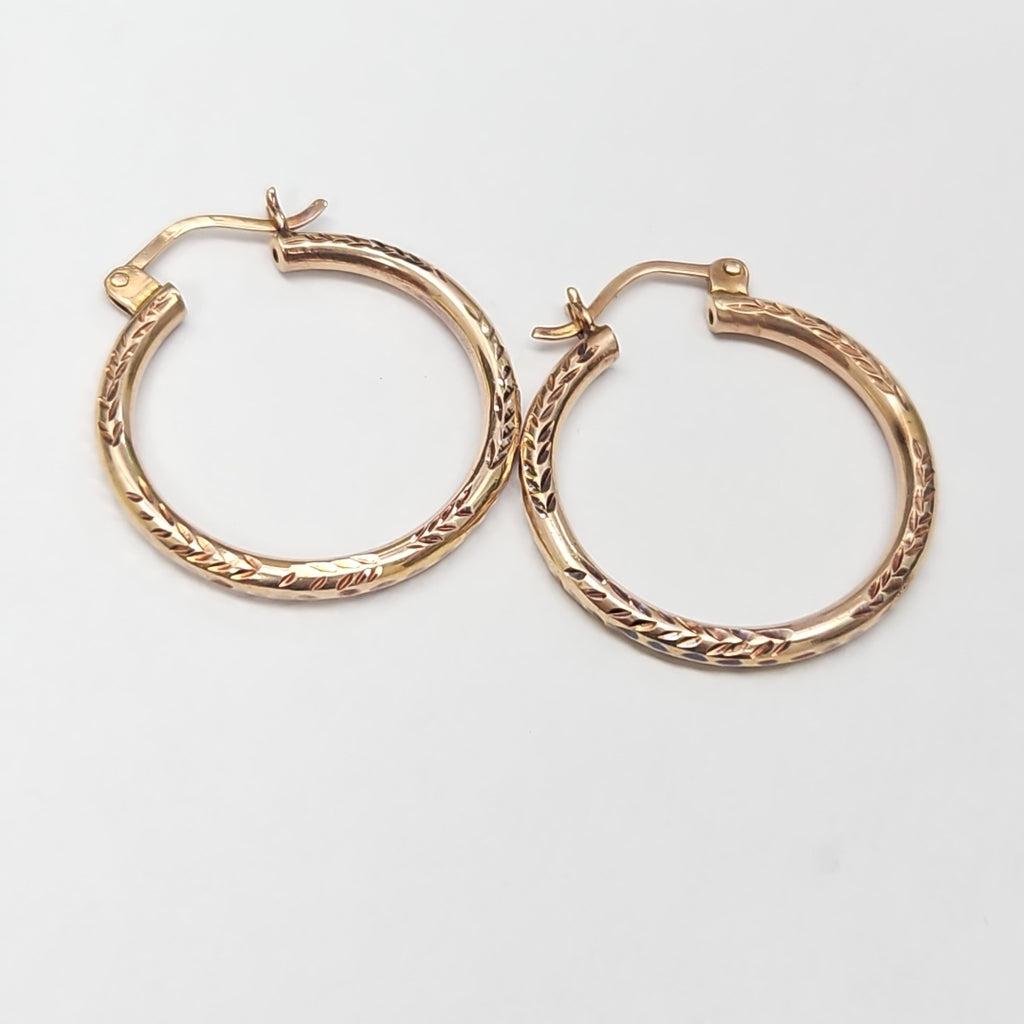 ARETES PAR ORO 10 K 1,00 GRMS (SEMINUEVO)