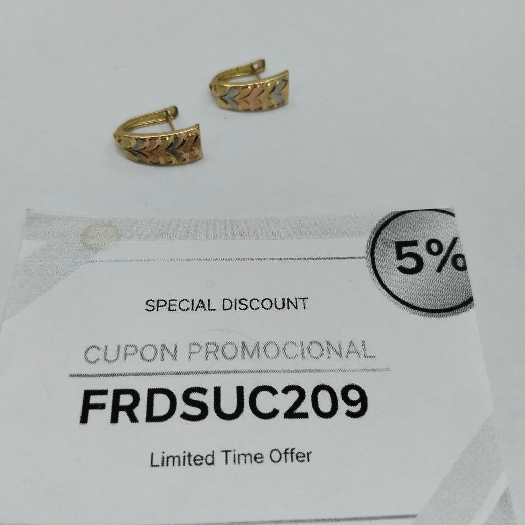 ARRACADAS PAR ORO 14 K 2.1 GRMS (SEMINUEVO)