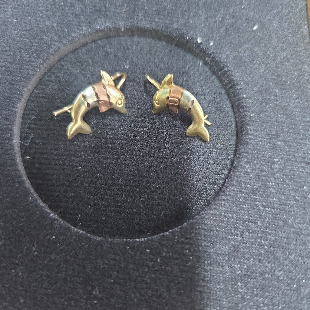 ARETES PAR ORO 10 K 1.3 GRMS (SEMINUEVO)