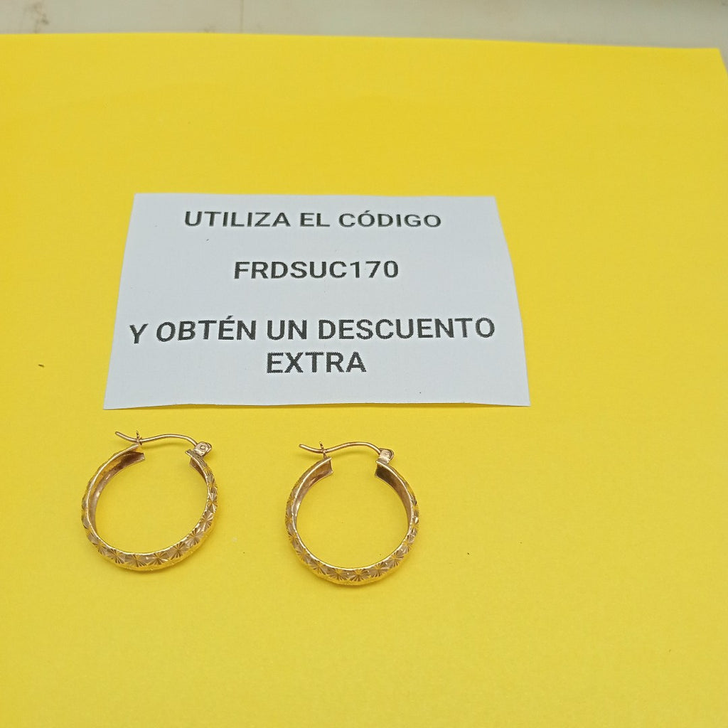 ARRACADAS PAR ORO 10 K 2.5 GRMS (SEMINUEVO)