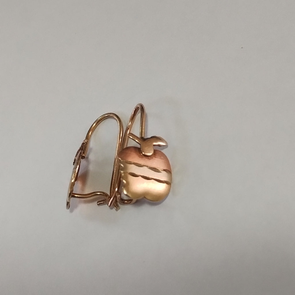 ARETES PAR ORO 10 K 1.3 GRMS (SEMINUEVO)
