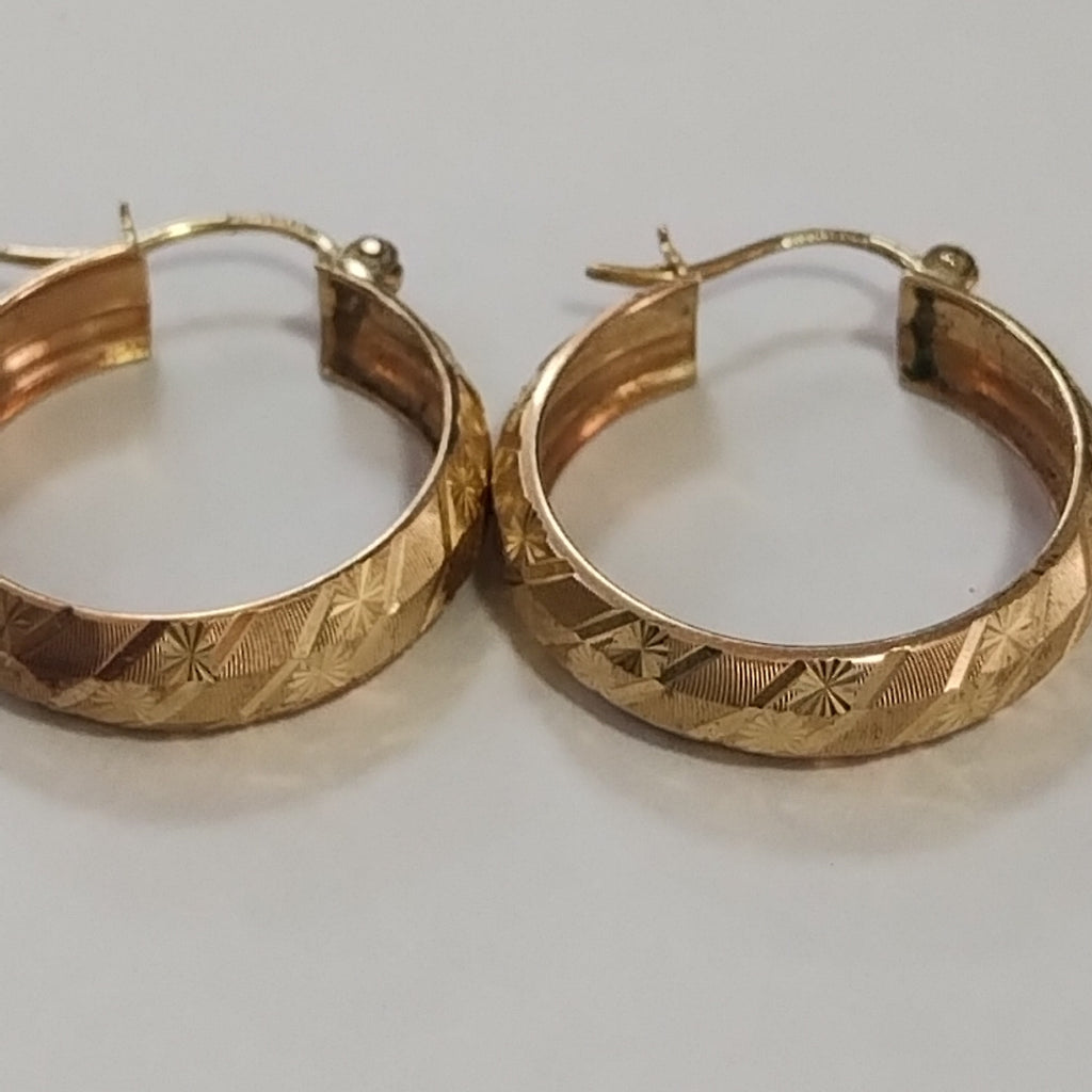 ARRACADAS PAR ORO 10 K 2.5 GRMS (SEMINUEVO)