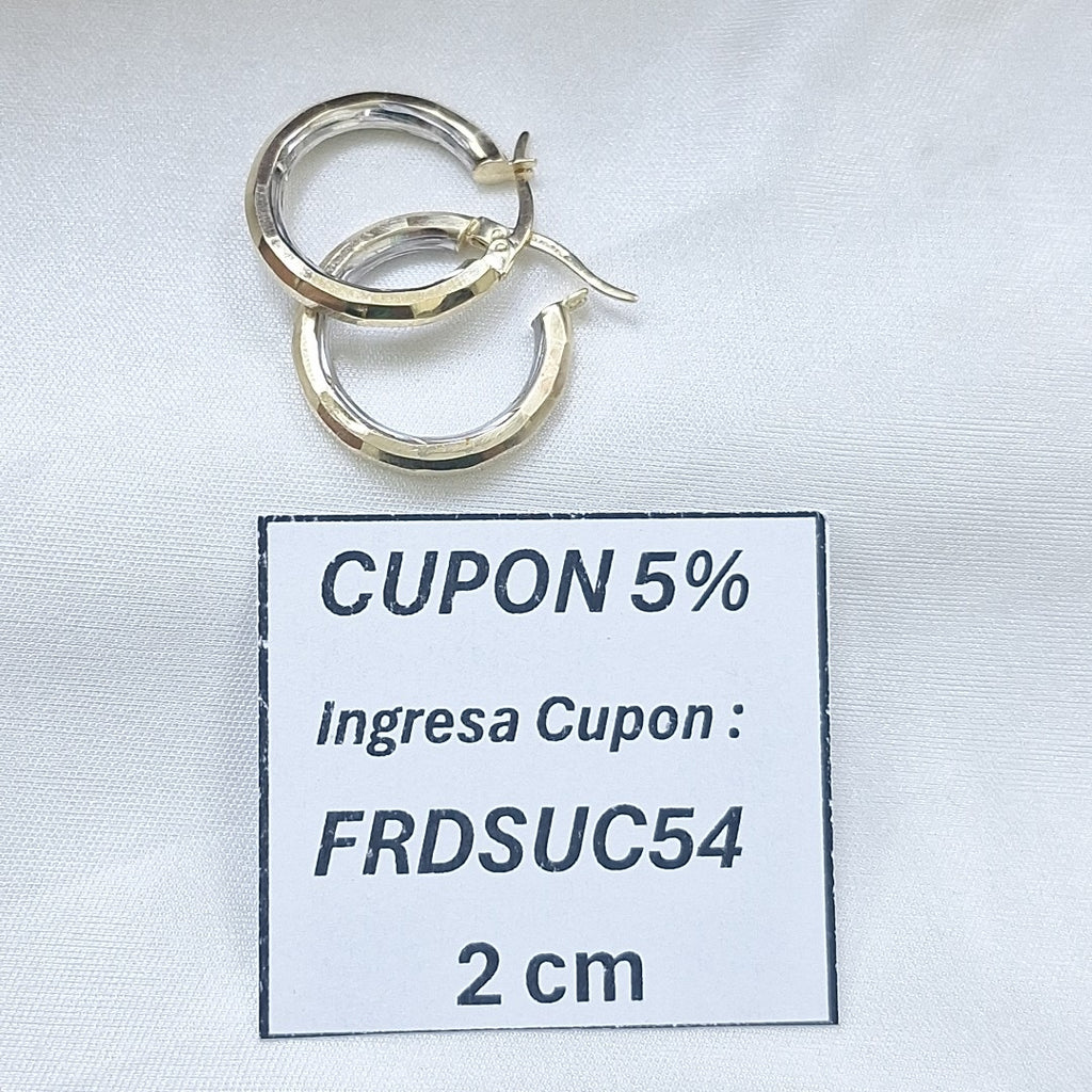 ARRACADAS PAR ORO 10 K 1.8 GRMS (SEMINUEVO)
