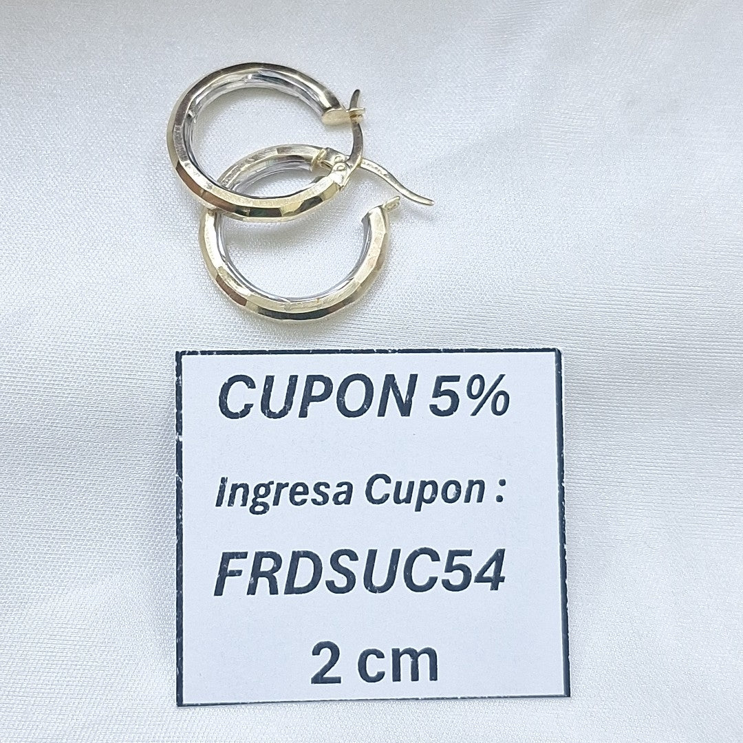 ARRACADAS PAR ORO 10 K 1.8 GRMS (SEMINUEVO)