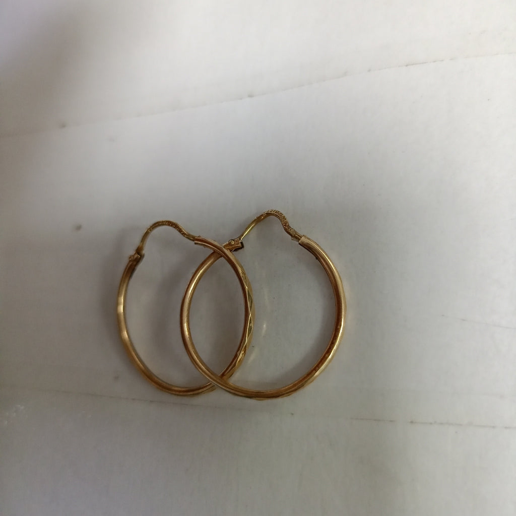 ARRACADAS PAR ORO 10 K 0.9 GRMS (SEMINUEVO)