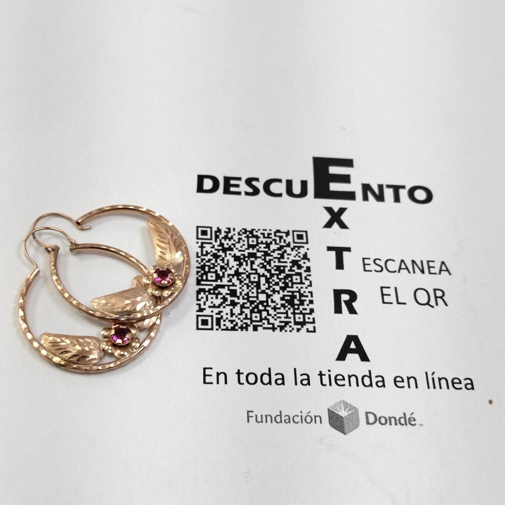 ARRACADAS PAR ORO 10 K 2 GRMS (SEMINUEVO)