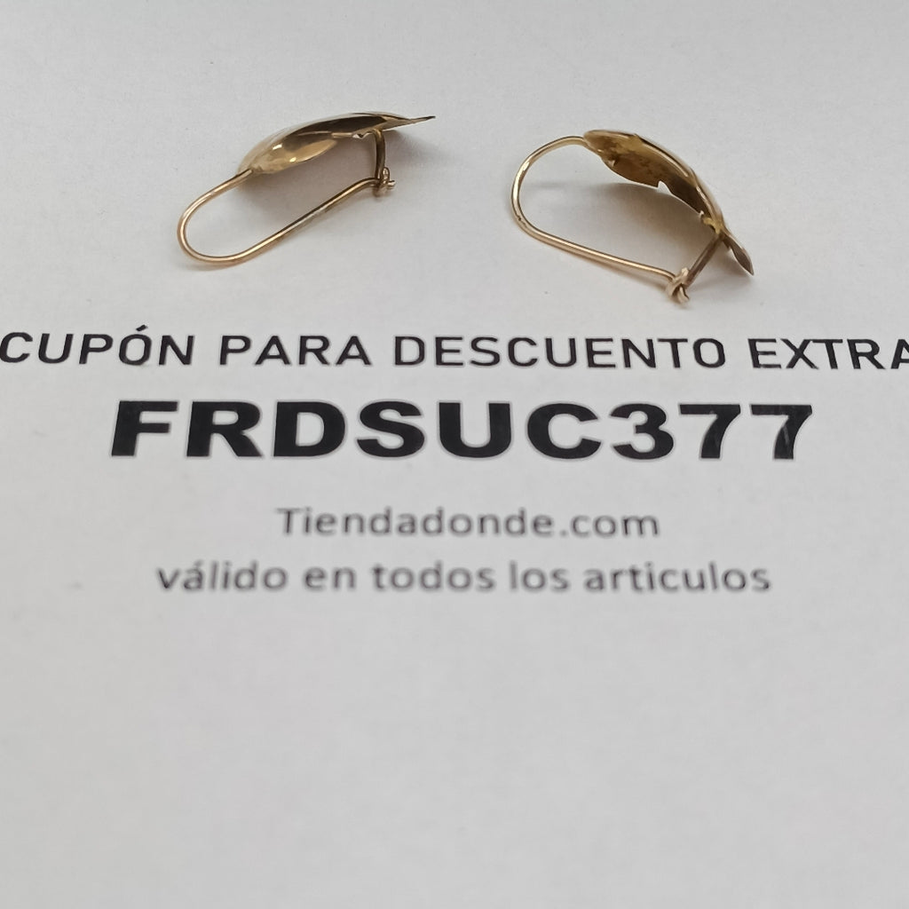 ARETES PAR ORO 10 K 1.7 GRMS (SEMINUEVO)