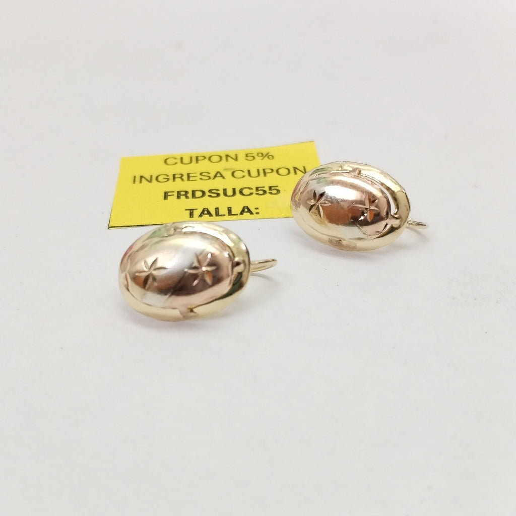 ARETES PAR ORO 10 K 1,40 GRMS (SEMINUEVO)