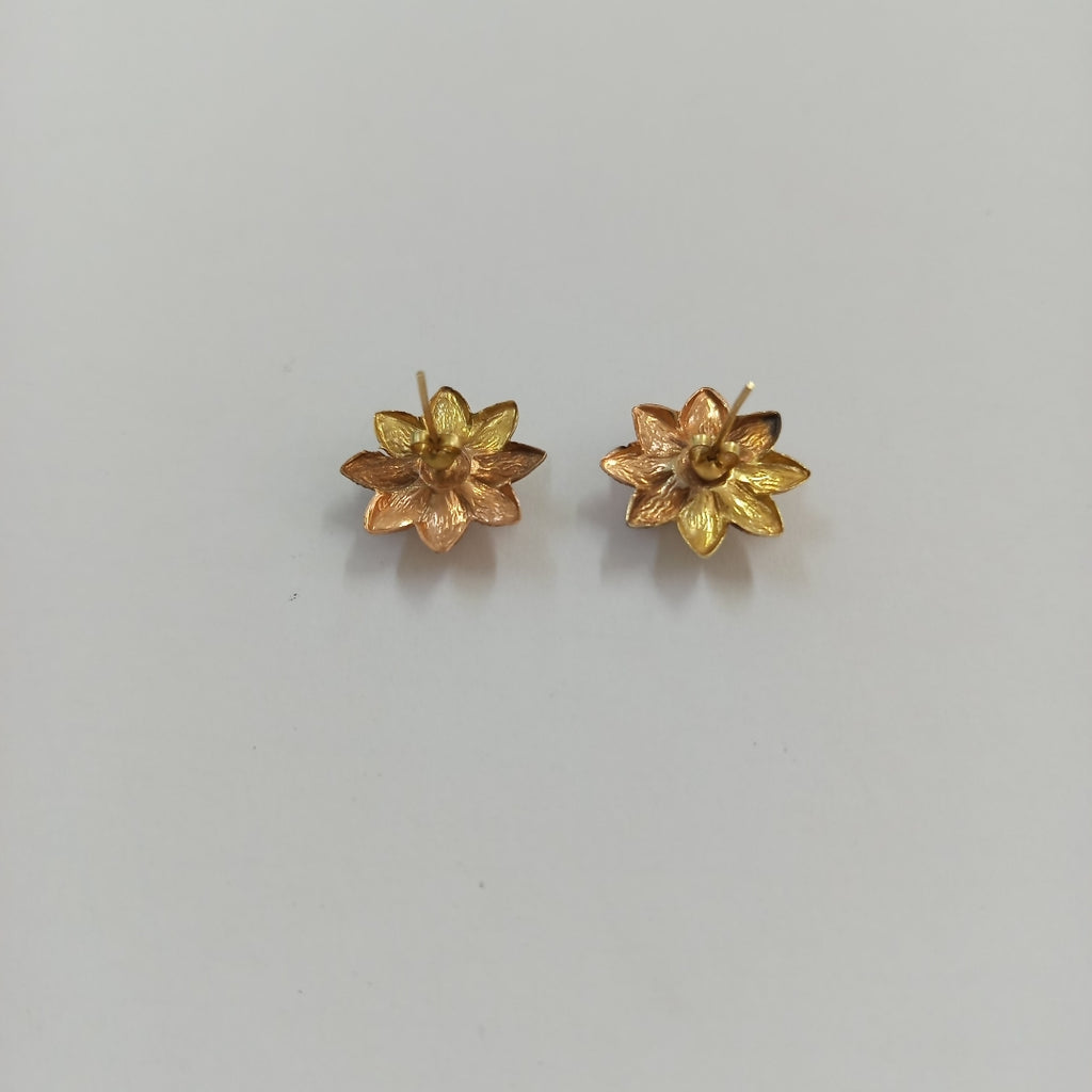ARETES PAR ORO 10 K 3,00 GRMS (SEMINUEVO)