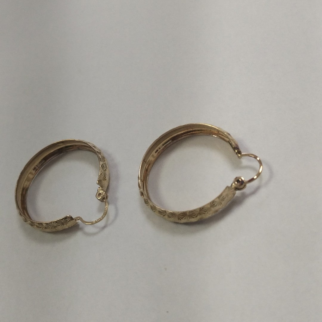 ARETES PAR ORO 10 K 2.9 GRMS (SEMINUEVO)