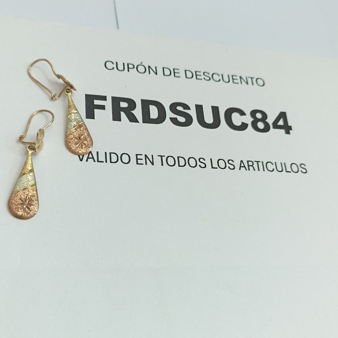 ARETES PAR ORO 10 K 1.4 GRMS (SEMINUEVO)