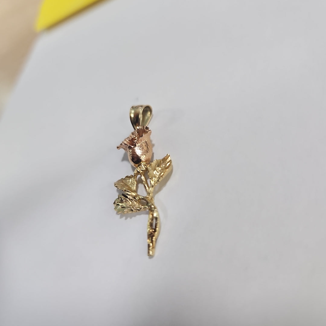 DIJE ORO 10 K 2.2 GRMS (SEMINUEVO)