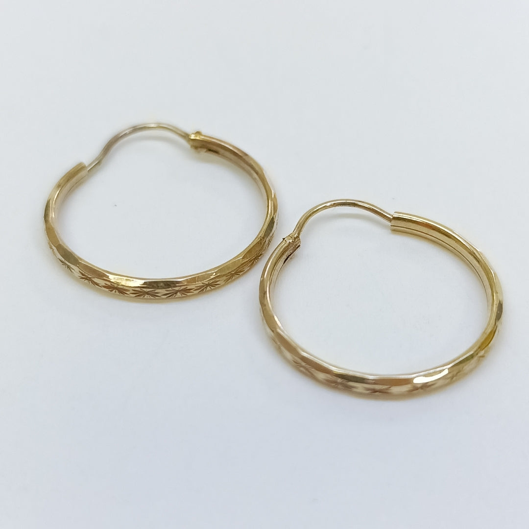 ARRACADAS PAR ORO 10 K 1,60 GRMS (SEMINUEVO)
