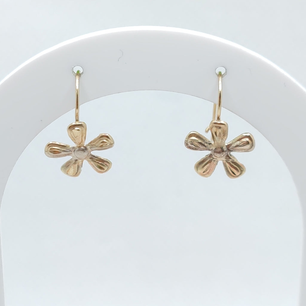 ARETES PAR ORO 10 K 0.6 GRMS (SEMINUEVO)