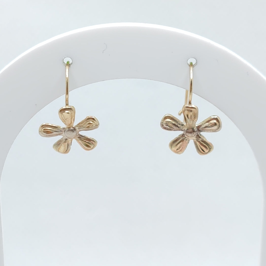 ARETES PAR ORO 10 K 0.6 GRMS (SEMINUEVO)