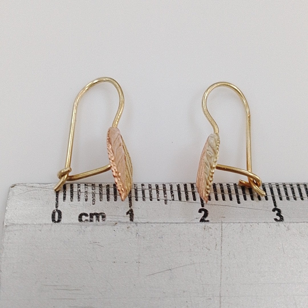 ARETES PAR ORO 10 K 1 GRMS (SEMINUEVO)